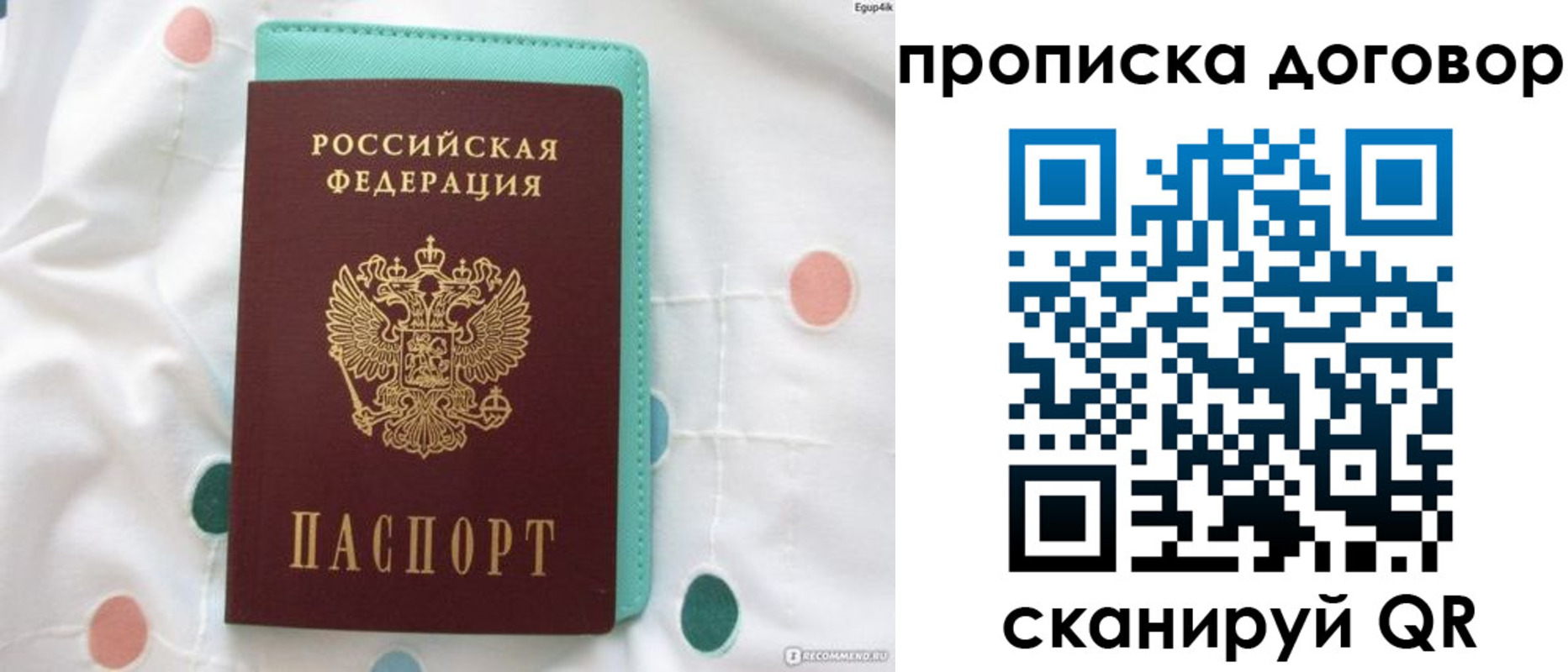 временная прописка в Талдоме